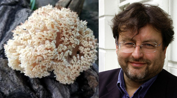 https://www.nazdorovye.ru/img-scientists/scientists-010.png